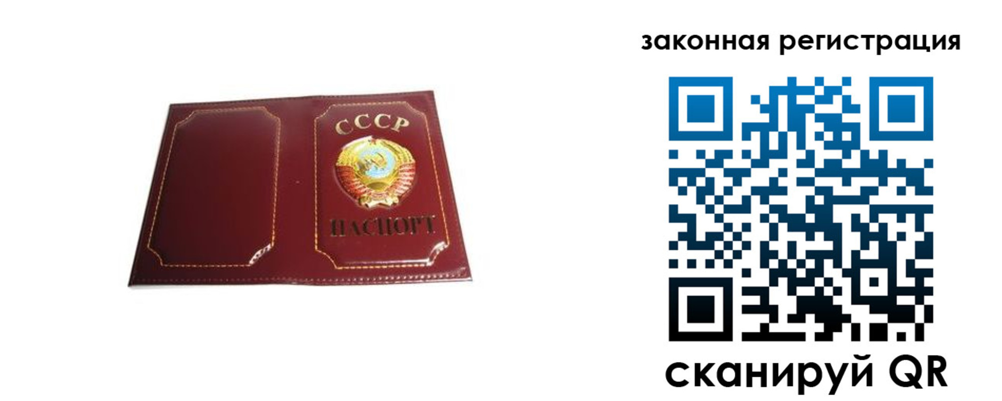 прописка поиск в Калужской области